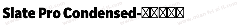 Slate Pro Condensed字体转换